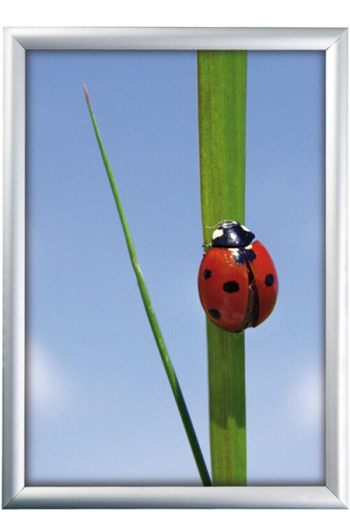 Alu Klapprahmen, Snap-Frame Wand, 25 mm Profil
