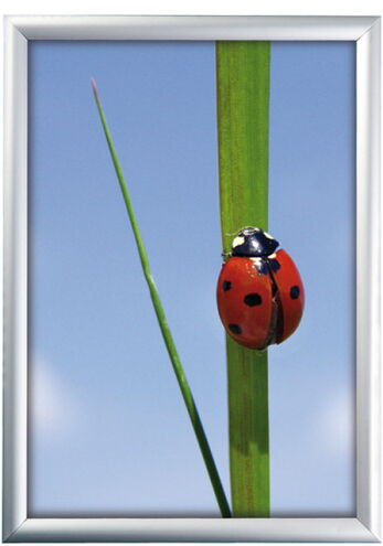 Alu Klapprahmen, Snap-Frame Wand, 25 mm Profil