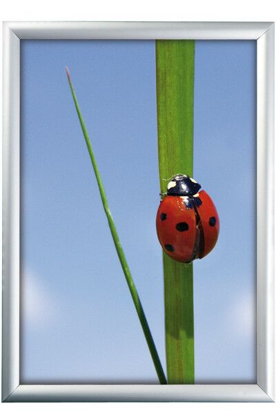 Alu Klapprahmen, Snap-Frame Wand, 25 mm Profil